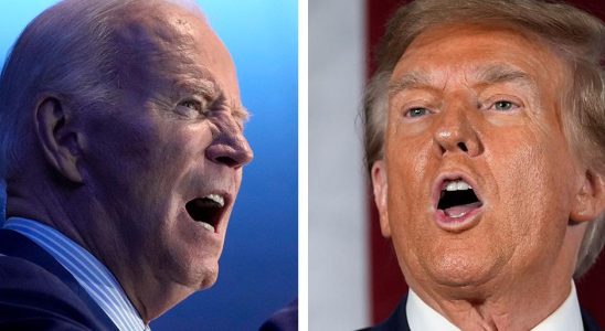 Donald Trump pulls away from Joe Biden in new poll