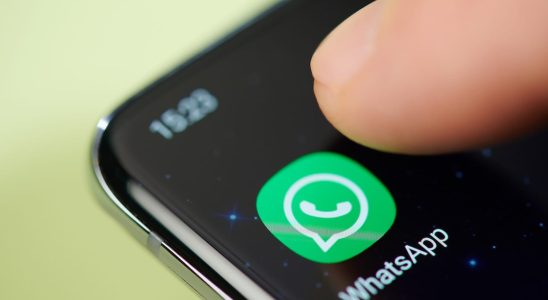 During a WhatsApp conversation you can perfectly show what is