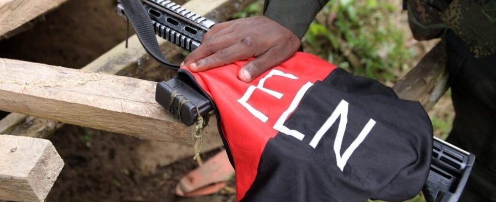 ELN guerrillas end armed strike after being accused of violating