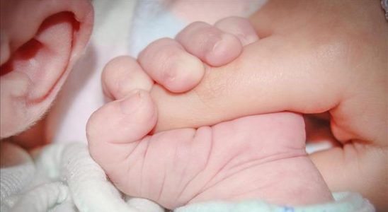 Embryos were considered children in vitro fertilization treatment was banned