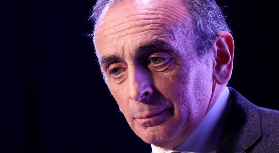 Eric Zemmour and CNews condemned after defamatory remarks about LFI