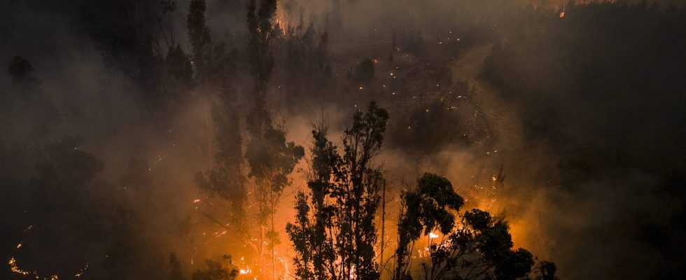 Fires in Chile dozens of deaths striking images