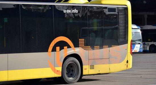 Five carriers want to provide public transport in the province