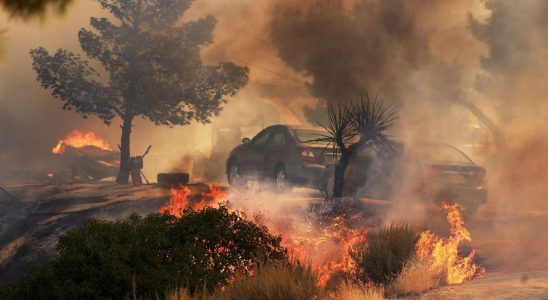 Forest fires associated with an increase in emergency room visits