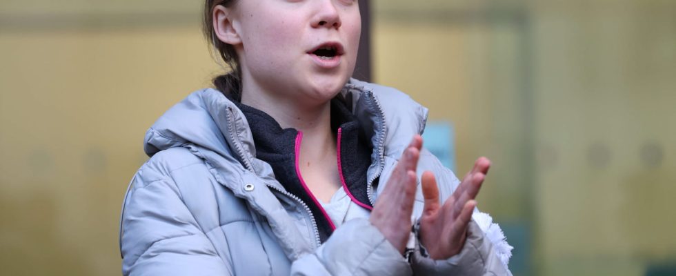 Greta Thunberg demonstrates in Tarn against the A69