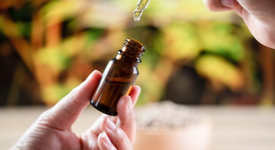 Healing this essential oil is the first to put on