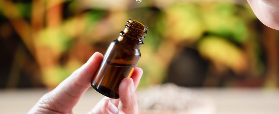 Healing this essential oil is the first to put on