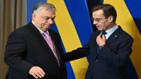 Hungary and Sweden agree on cooperation in arms production aE