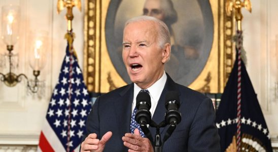 Joe Biden too old The report that angered the president