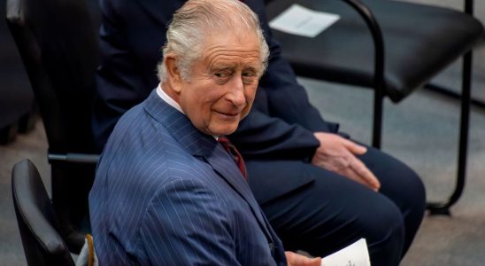 King Charles III diagnosed with cancer What is the possible