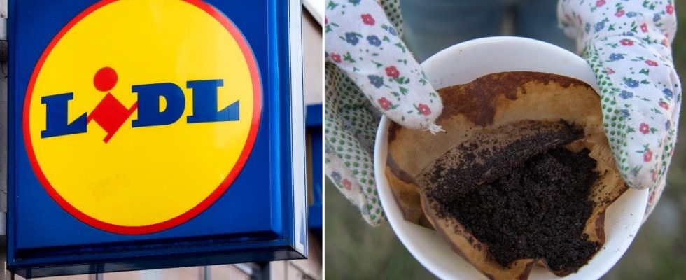 Lidl releases unique clothing collection made from coffee grounds
