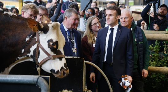 Macron specifies the timetable for responding to the crisis –