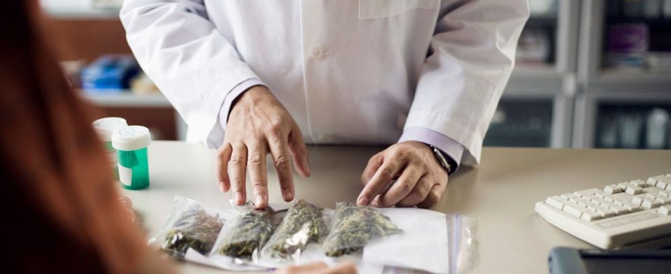 Medical cannabis treatments available from 2025 according to the drug