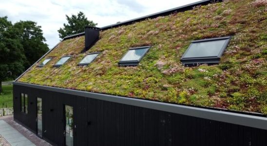 Money tap open again for green roofs