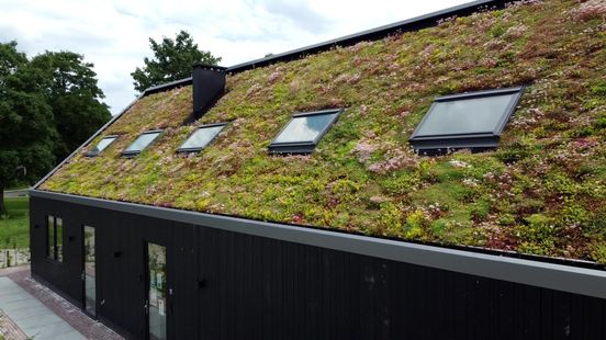 Money tap open again for green roofs
