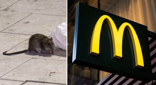 Mouse poo found at Mcdonalds Your routines are flawed