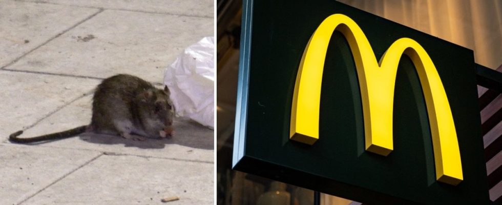 Mouse poo found at Mcdonalds Your routines are flawed