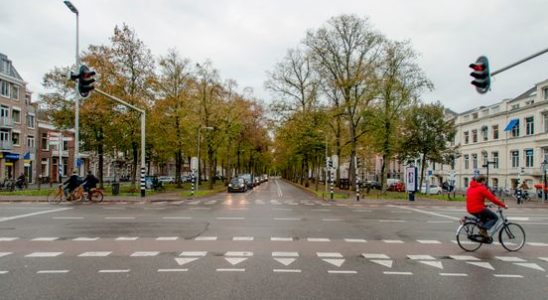 New traffic lights cause amazement because the entire intersection needs