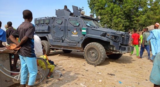 Nigerian states recruit militia to confront criminal gangs