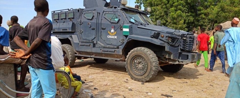 Nigerian states recruit militia to confront criminal gangs