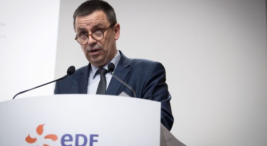 Nuclear tariff shield How EDF returned to profit in 2023