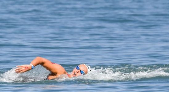 Open water swimmer Van Rouwendaal becomes world champion for the