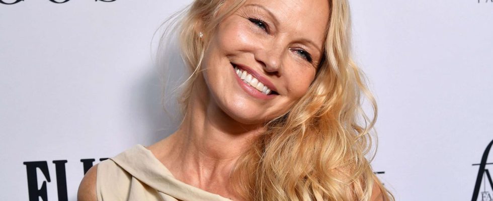 Pamela Anderson I looked like a different person… – the