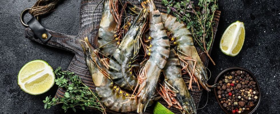 Product recall do not consume these contaminated prawns