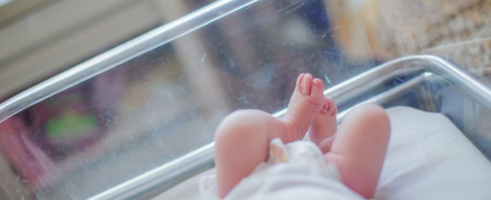 Researchers discover why IVF babies are born with low birth