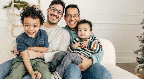 Rights of same sex parents legal adoption in a minority of