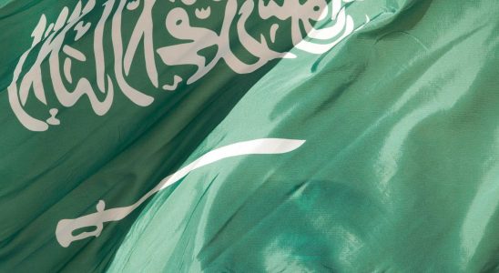 Seven executed in Saudi Arabia