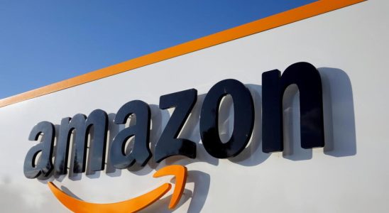 Suspension of accreditations of Amazon lobbyists in the European Parliament