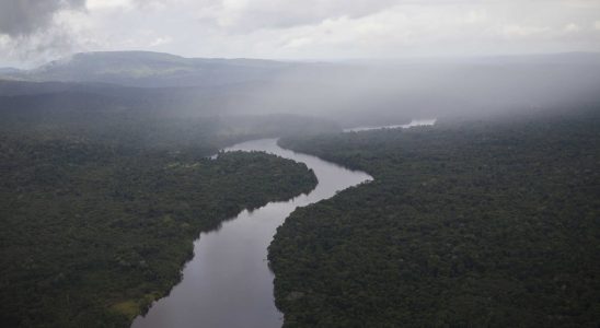 This discovery changes the history of the Amazon rainforest an