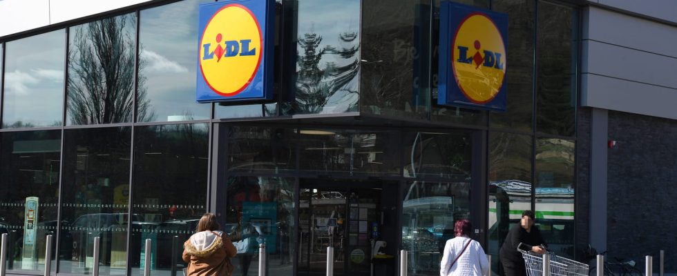 This essential kitchen appliance from Lidl is fully refunded Please