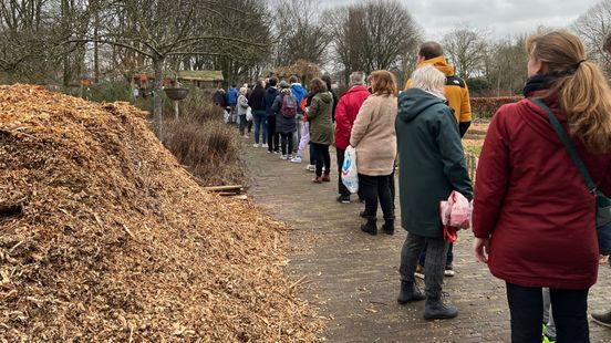 Utrecht residents queue up en masse for underprivileged trees
