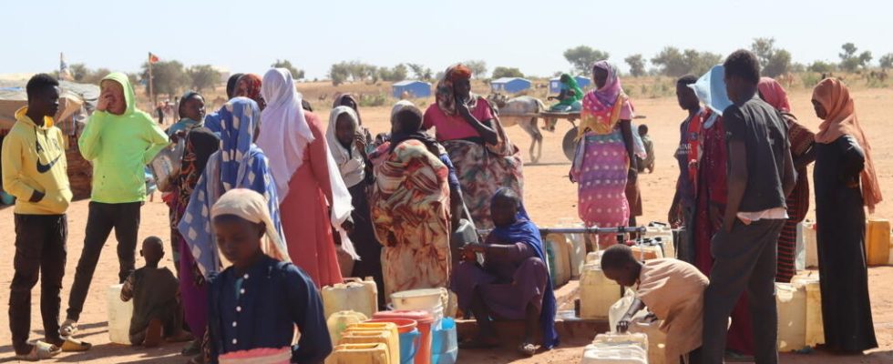 WHO warns of risk of catastrophic famine in Sudan