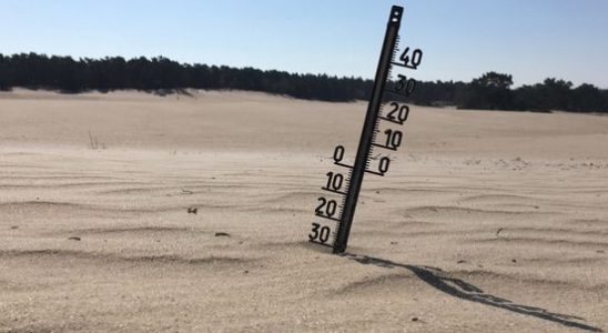 Weeronline warmest February ever measured due to continuously mild weather