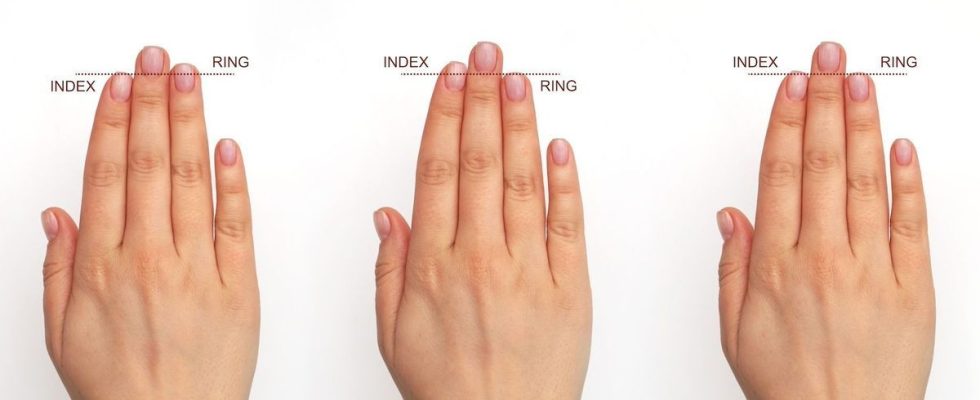 What the length of your fingers says about your personality
