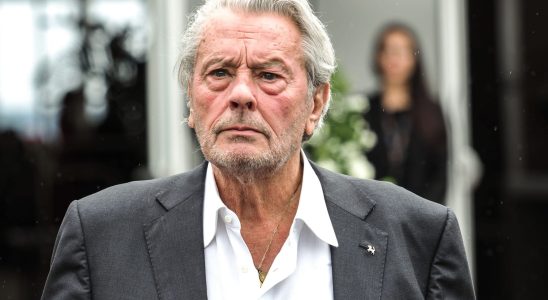 Why were Alain Delons weapons seized by the police