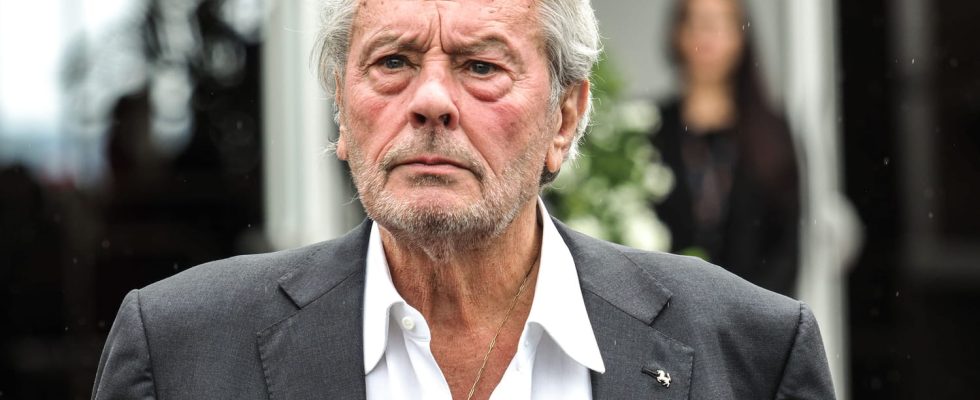 Why were Alain Delons weapons seized by the police