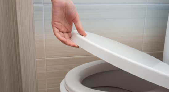 With this hidden button cleaning your toilet will be much