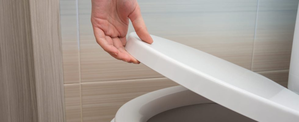 With this hidden button cleaning your toilet will be much