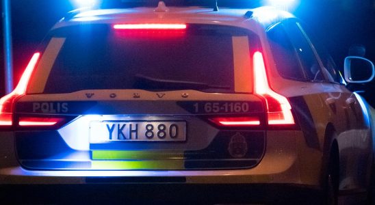 Woman raped outdoors in Uppsala