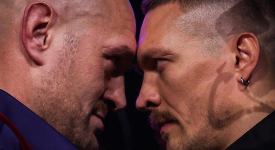 heavyweight fight between Tyson Fury and Oleksandr Usyk postponed