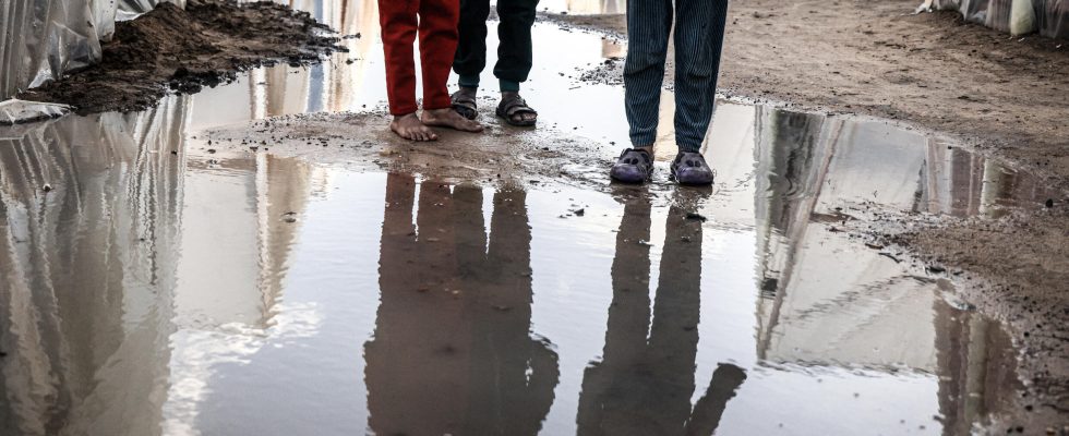 in Rafah in the heart of winter in the rain