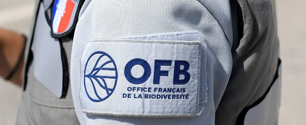 the OFB a contested gendarme and often sacrificed – LExpress