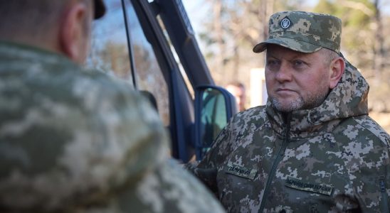 the replacement of General Zalouzhny will not change the course
