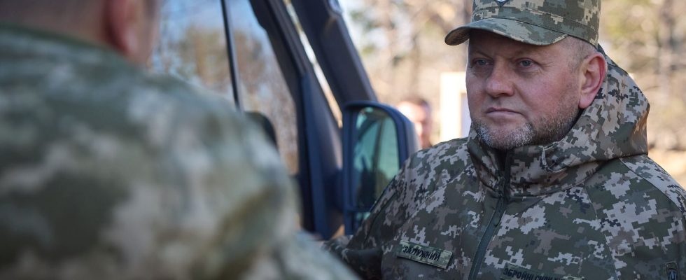 the replacement of General Zalouzhny will not change the course