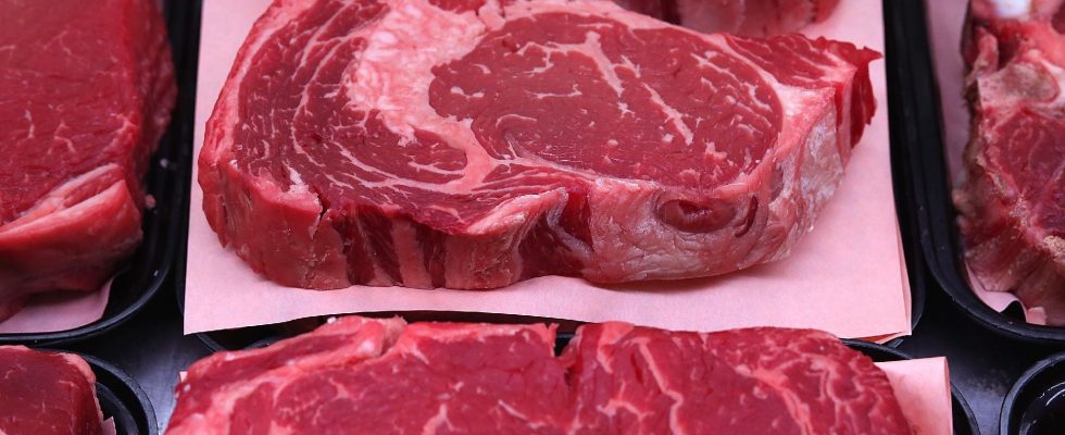 the study which further encourages us to reduce our meat