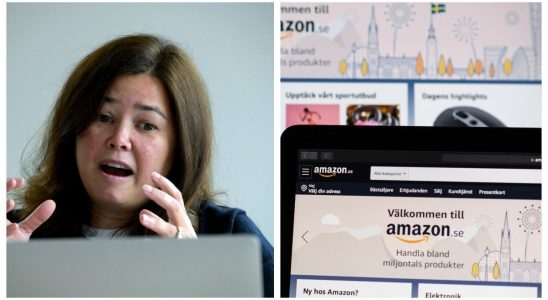 1711640981 Amazons sales are plummeting in Sweden